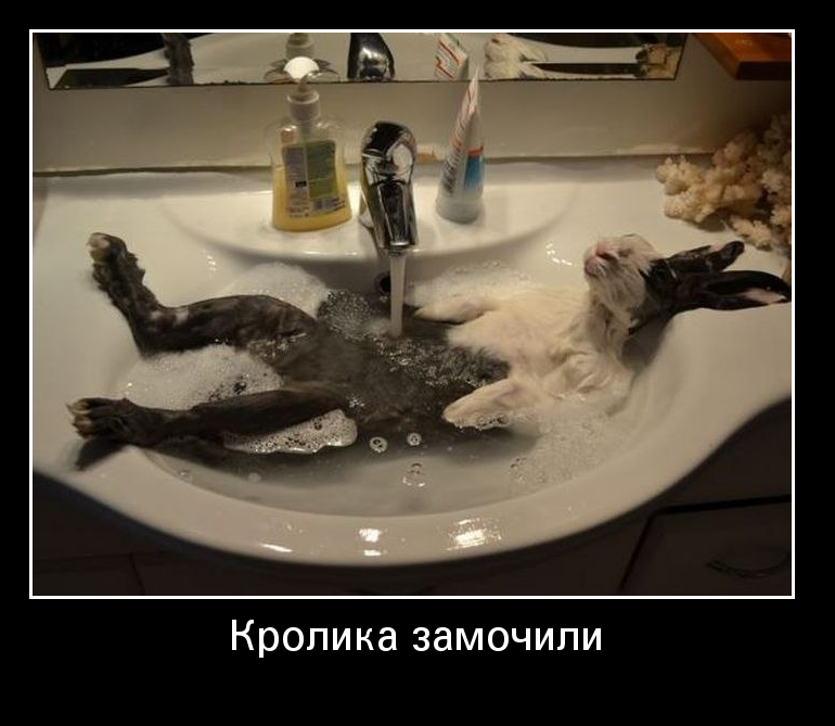 �������� �������