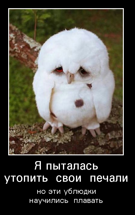 � �������� ������� ���� ������