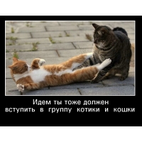 �� ���� ������ �������� � ������
