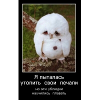 � �������� ������� ���� ������