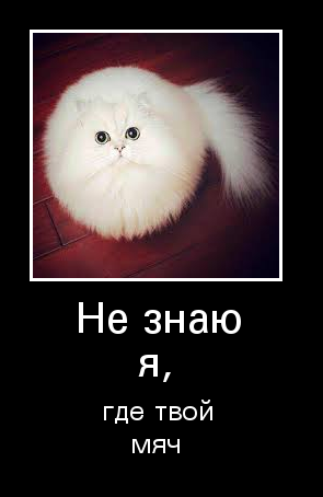 � �� ������ ���� ���