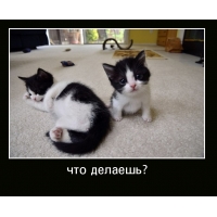 ��� �������? 